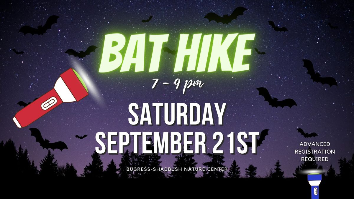 Bat Hike
