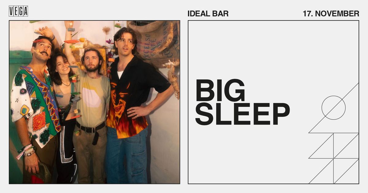 Big Sleep - VEGA