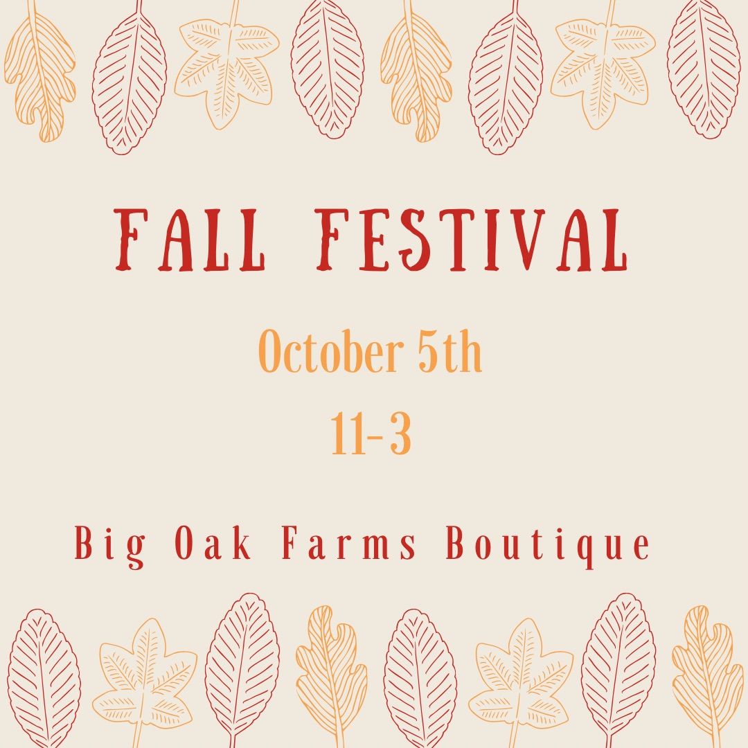 Fall Festival 