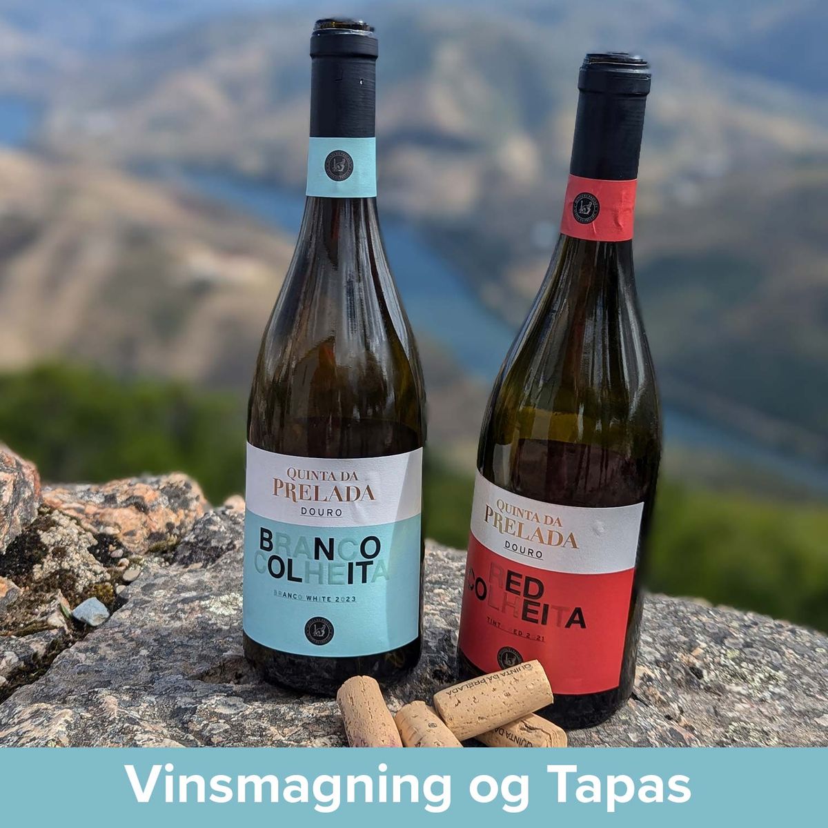 Vinsmagning og Tapas