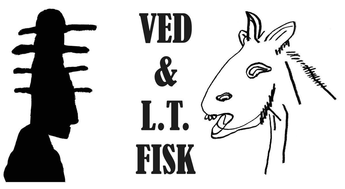 Ved & L T Fisk