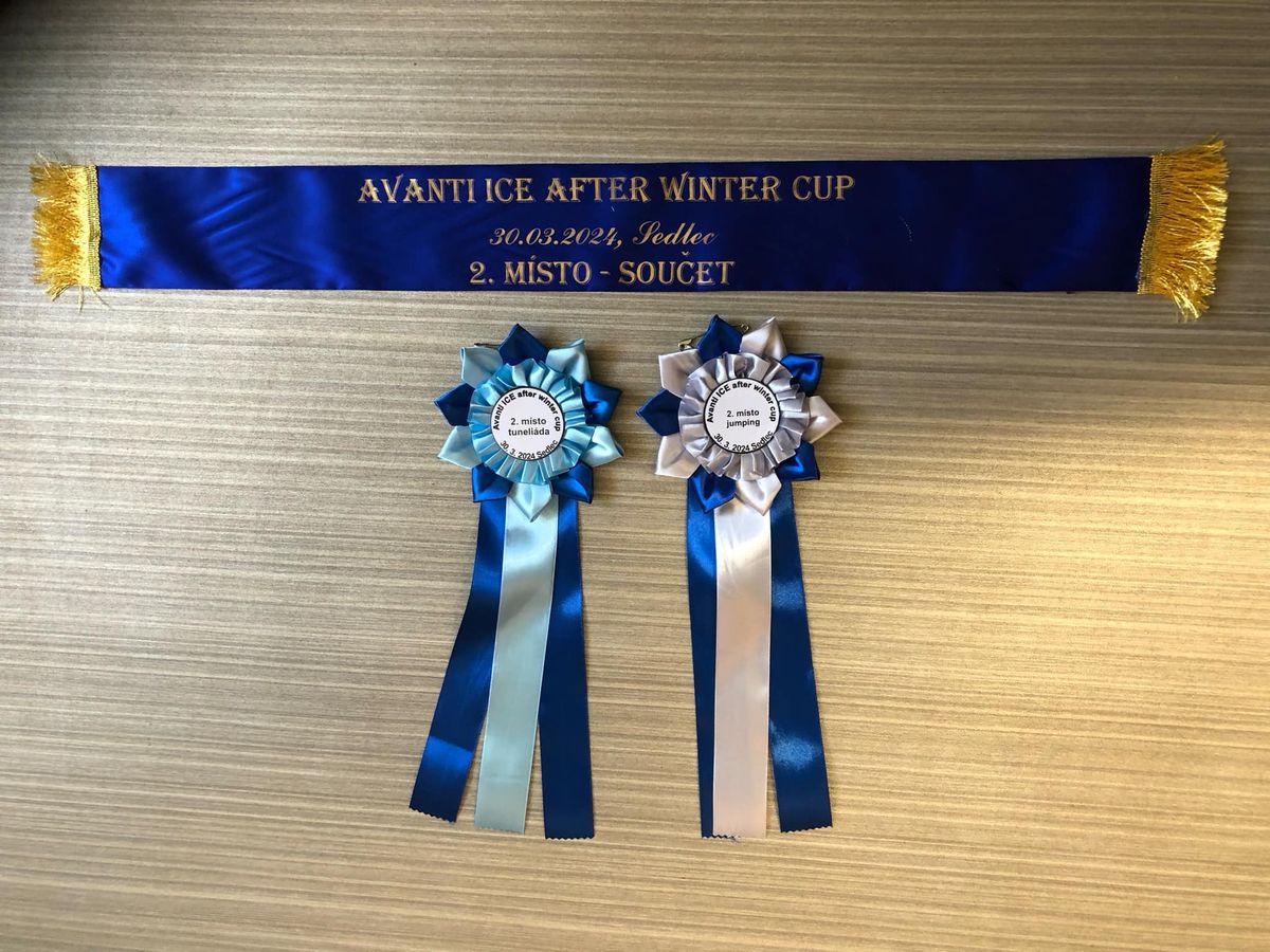 Avanti ICE after winter cup 2025 aneb Agility is FUN cup