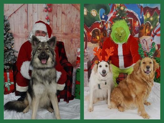 Santa Paws & the Grinch are coming to Uptown Charlotte