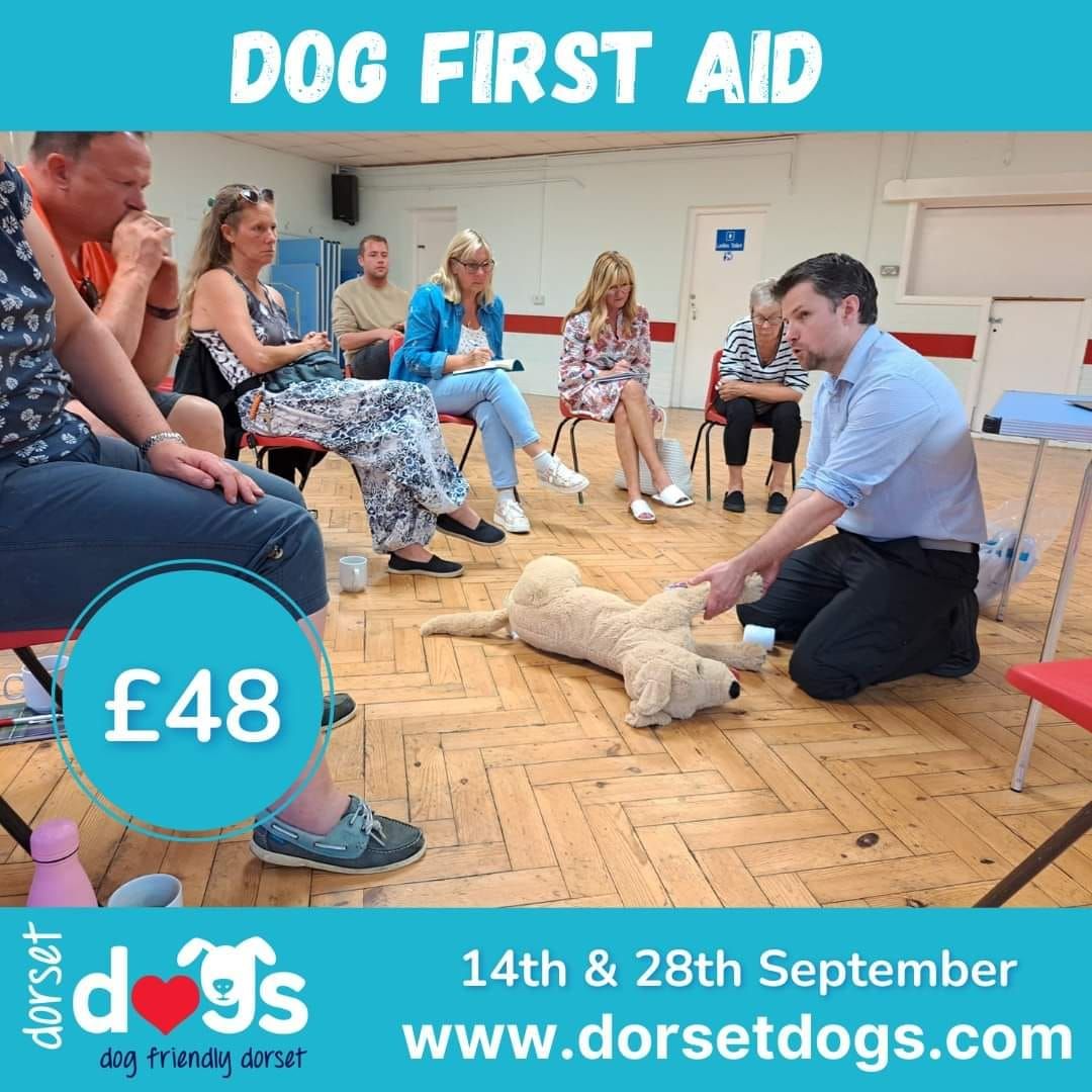 Dog First Aid with vet Dr Badger ?