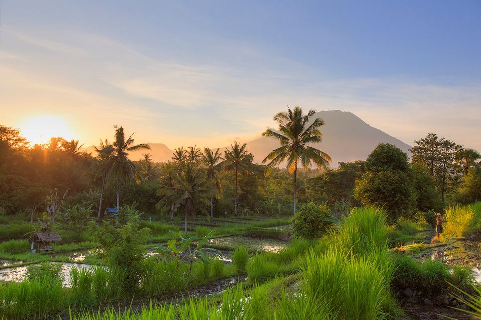 An 8-Day Retreat in Bali 2024- Breath, Body & Sound