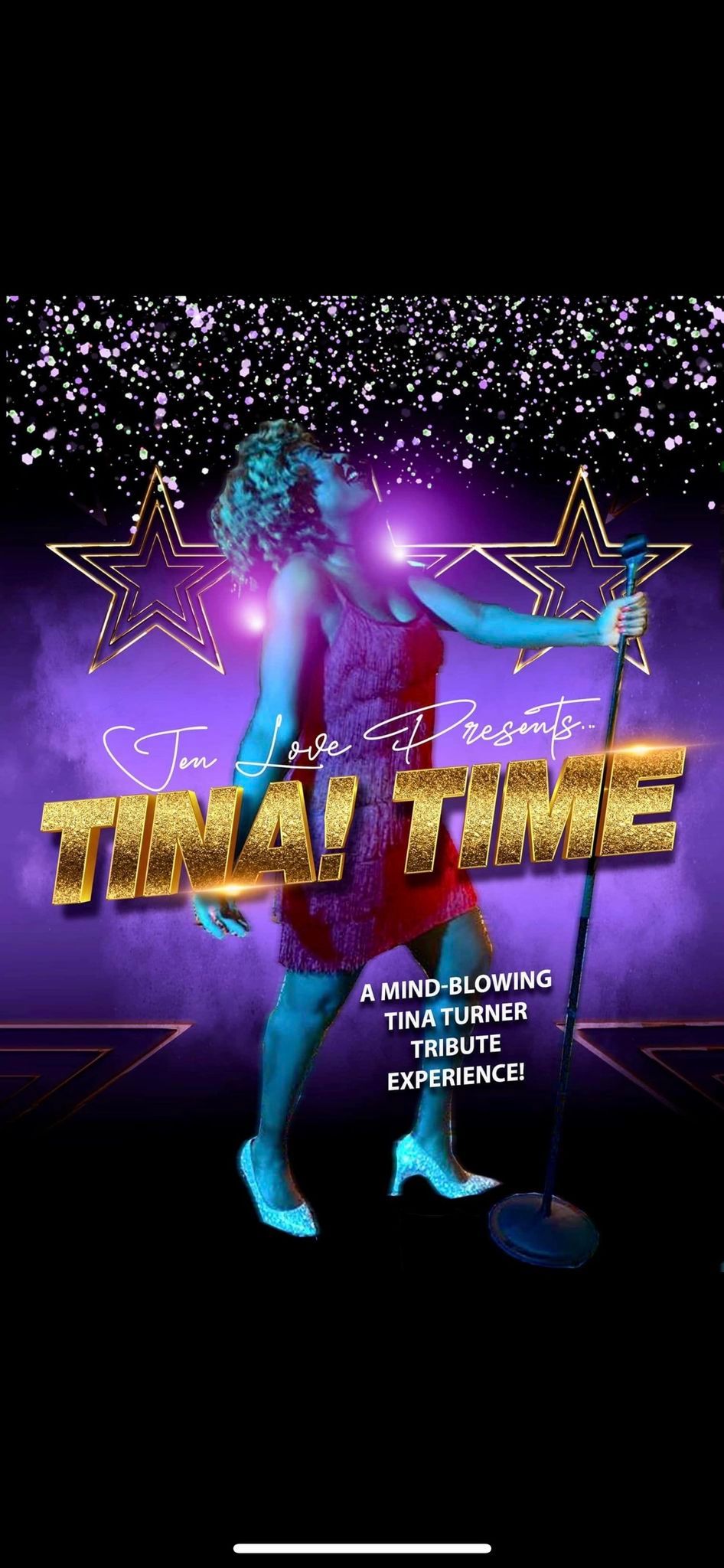 Tina Time. Tina Turner Tribute 