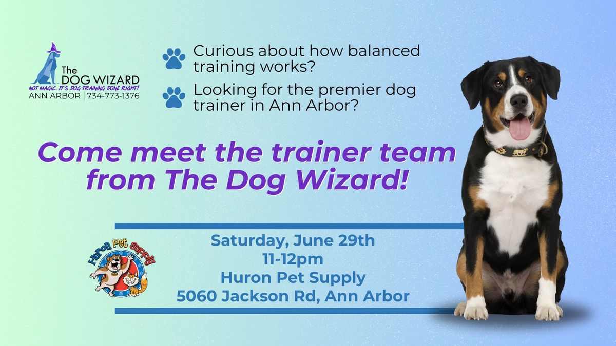 Meet the Trainers From The Dog Wizard!