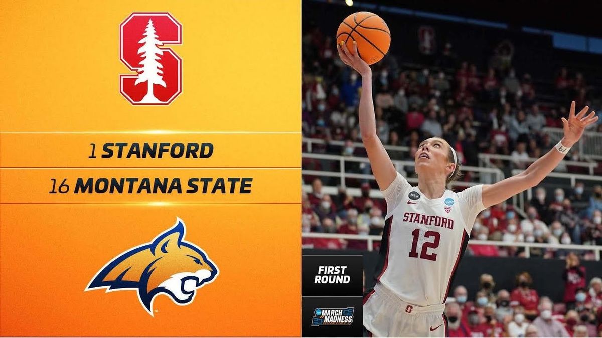 Montana State Bobcats at Stanford Cardinal Mens Basketball at Maples Pavilion