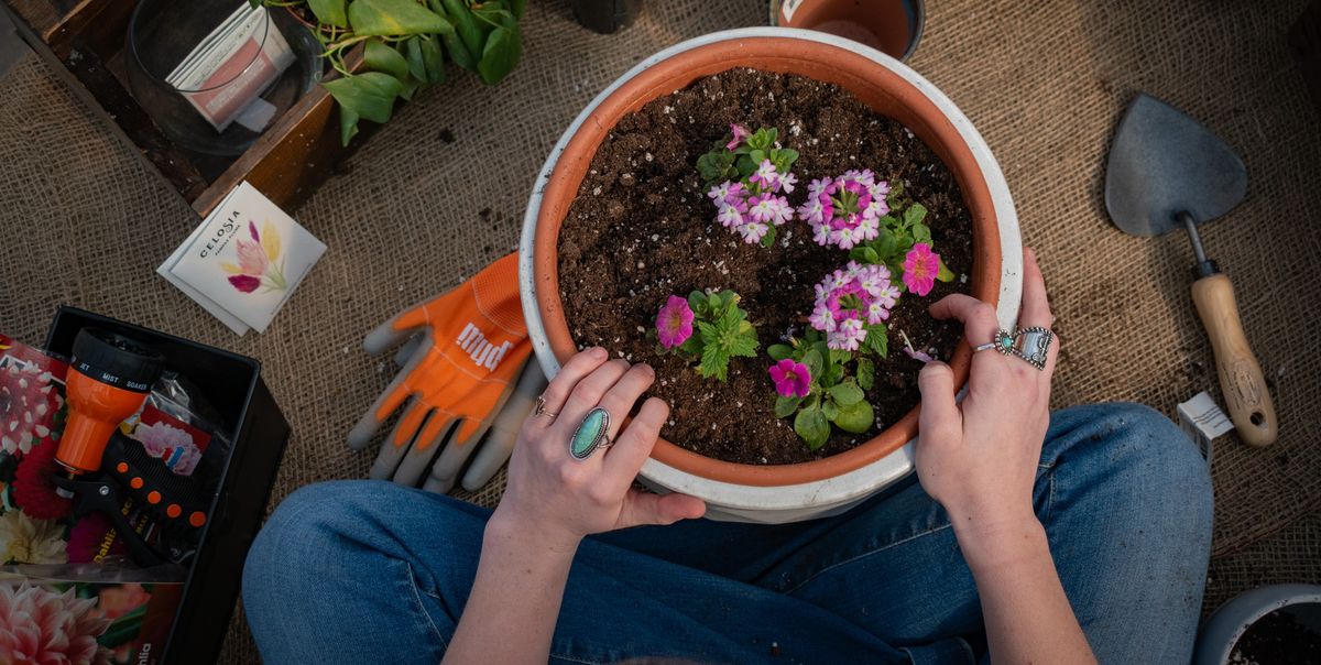 Summer Porch Pot Workshops (choose from 4 time slots)