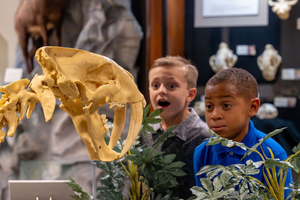 Children's Trolley Tour: Morning at the Museum