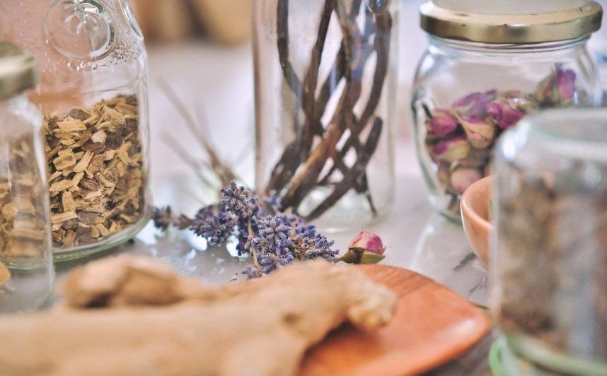 Herbal Tincture Class at Little Sister Dahlonega