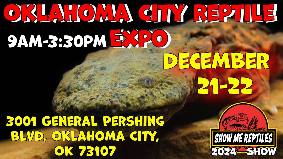 Oklahoma City Reptile Expo Show me Show