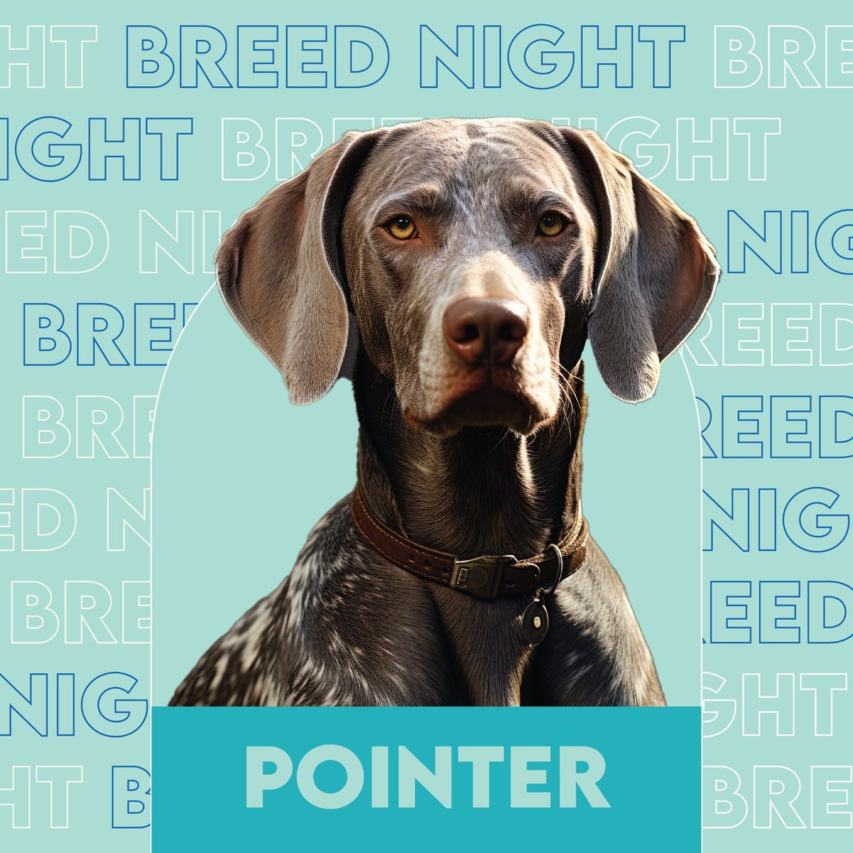 Pointer Breed Night