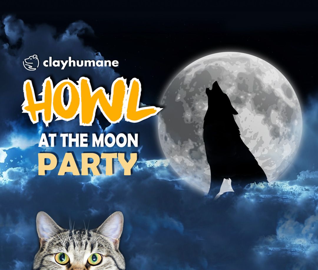 Howl At The Moon Party