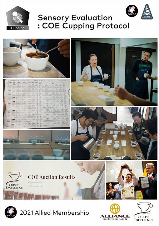 Sensory Evaluation: COE Cupping Protocol