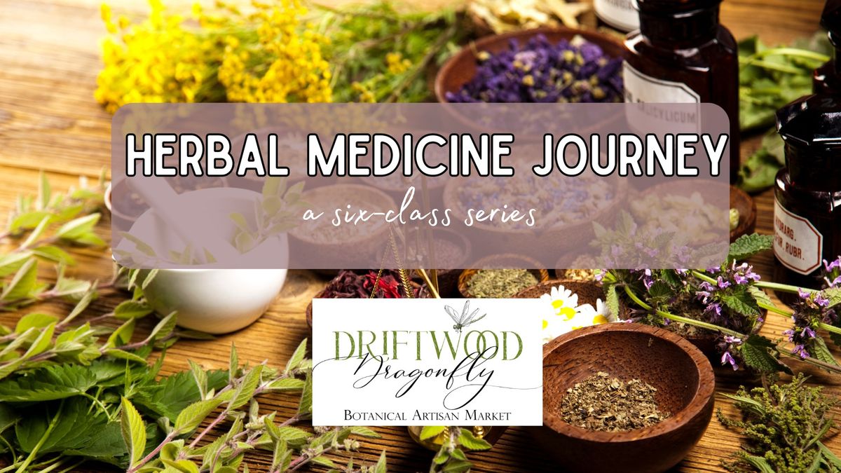 Herbal Medicine Journey 6-part Series