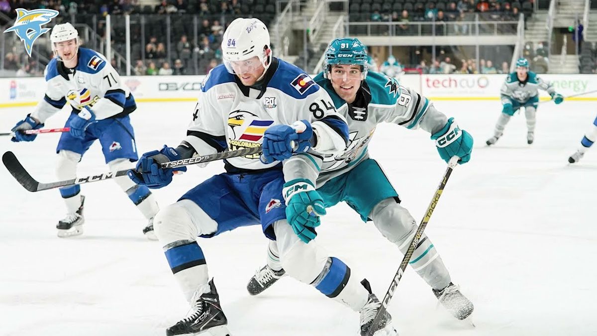 Brown Bears vs. Long Island University Sharks