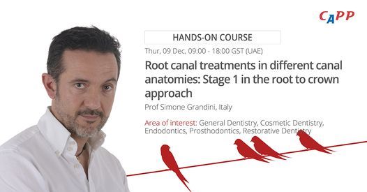 Root canal treatments in different canal anatomies: Stage 1 in the root to crown approach