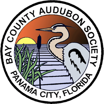 Bay County Audubon Society
