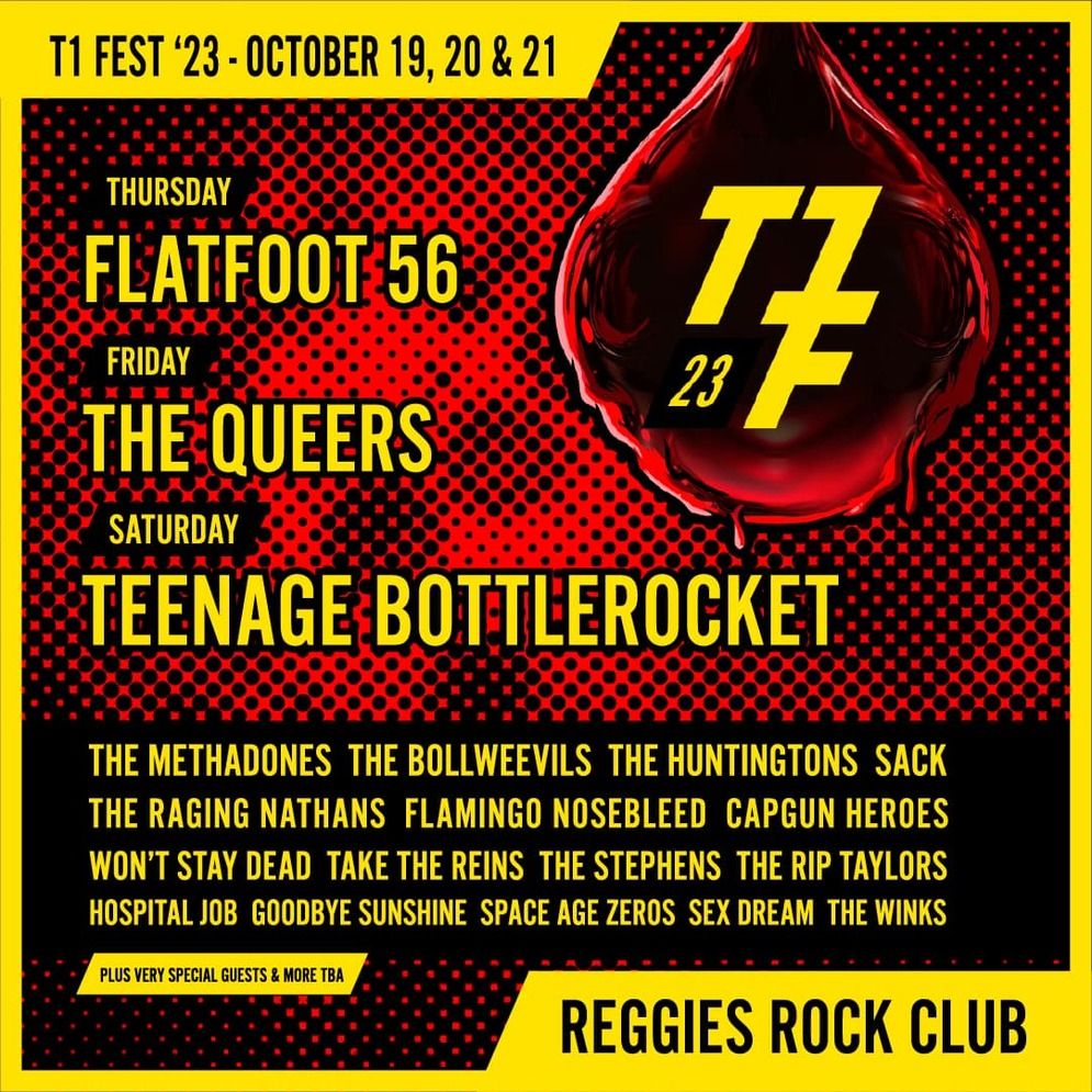 Teenage Bottlerocket at Reggies Rock Club