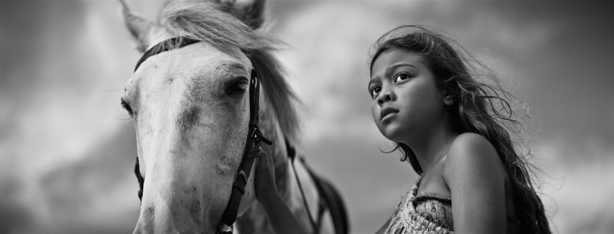 Native Spirit Festival & Horse Hospital : WORLD INDIGENOUS SHORTS 4:45-7pm