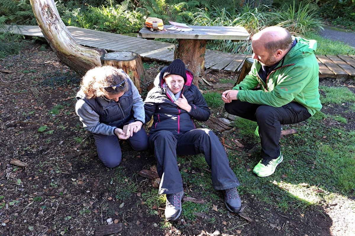 Forest School & Peadatric First Aid Course - Dartmoor
