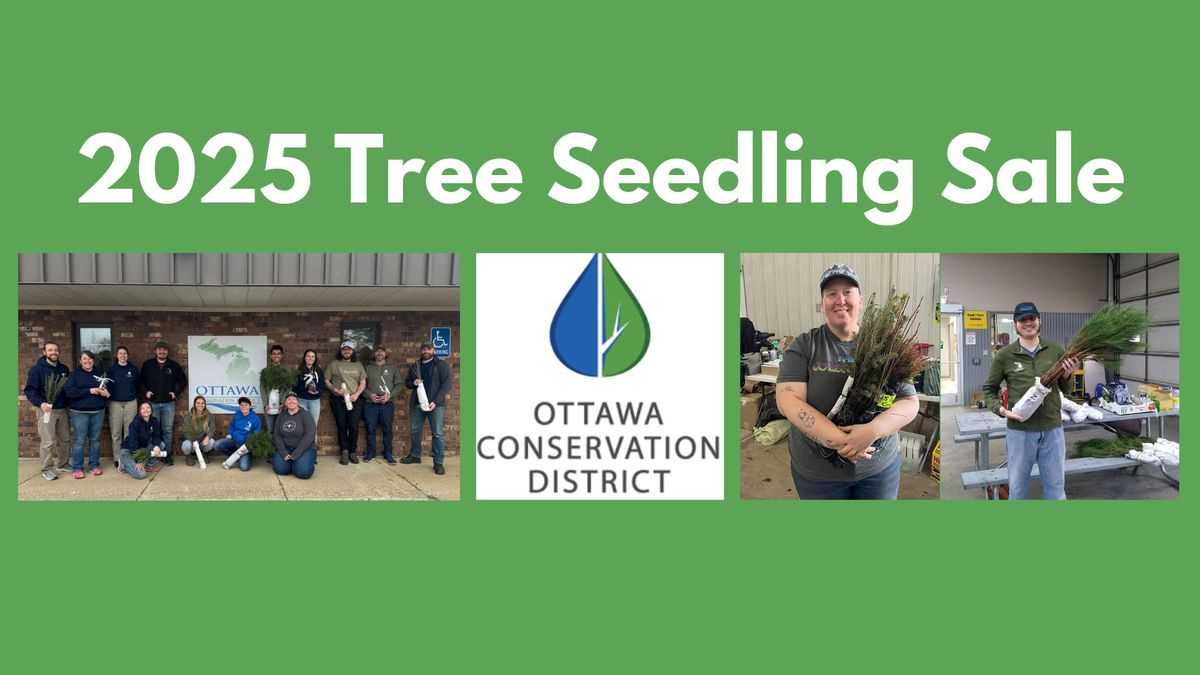 Native Tree Seedling Sale