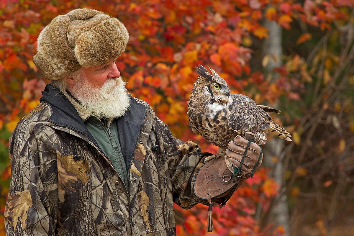 Cakes at the Lake: Raptors of the Great Lakes Region