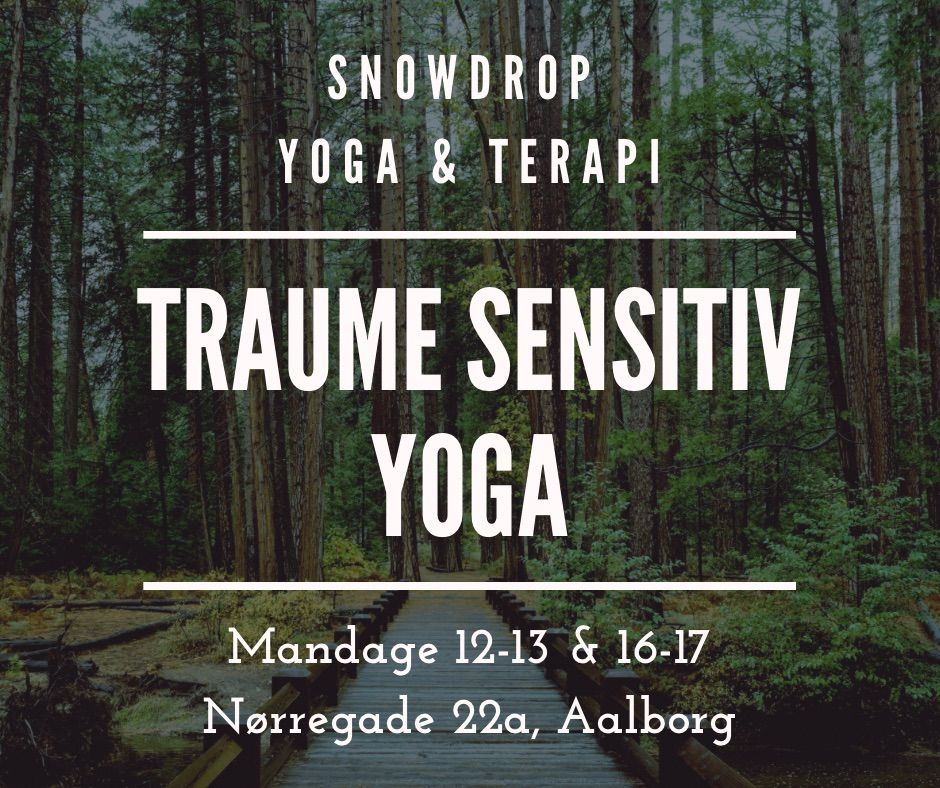 Traume Sensitiv Yoga - Behandling af traume gennem kroppen. 