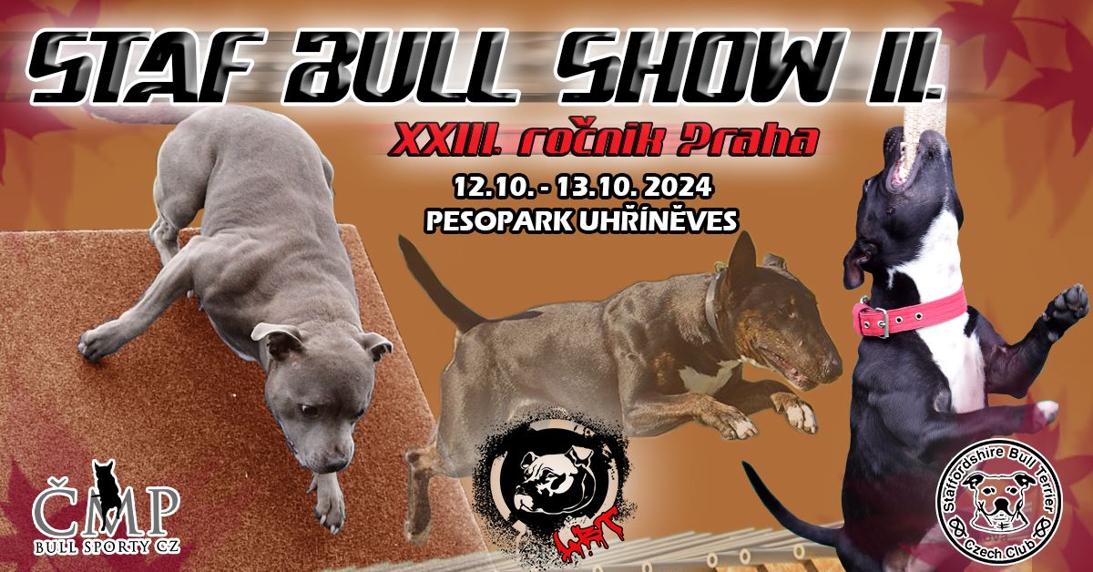 STAF BULL SHOW II.2024 