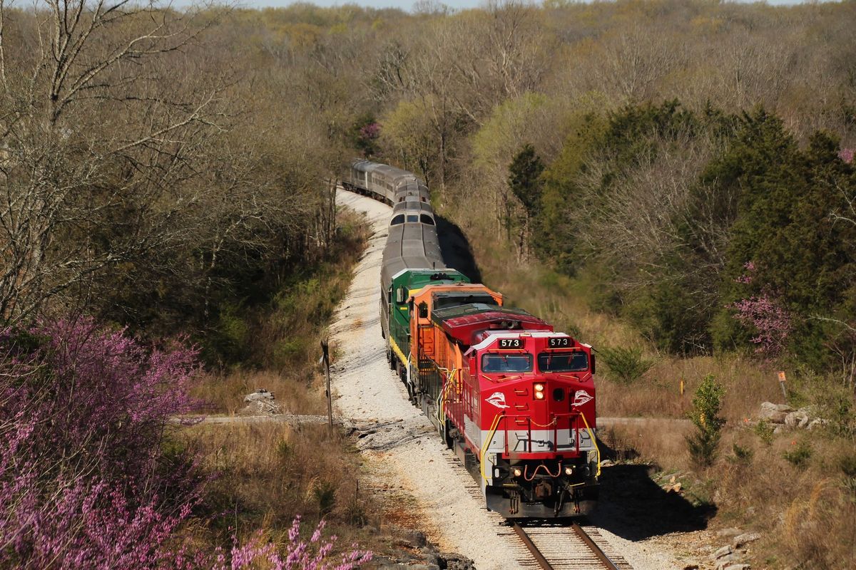 Murder Mystery Excursion Train