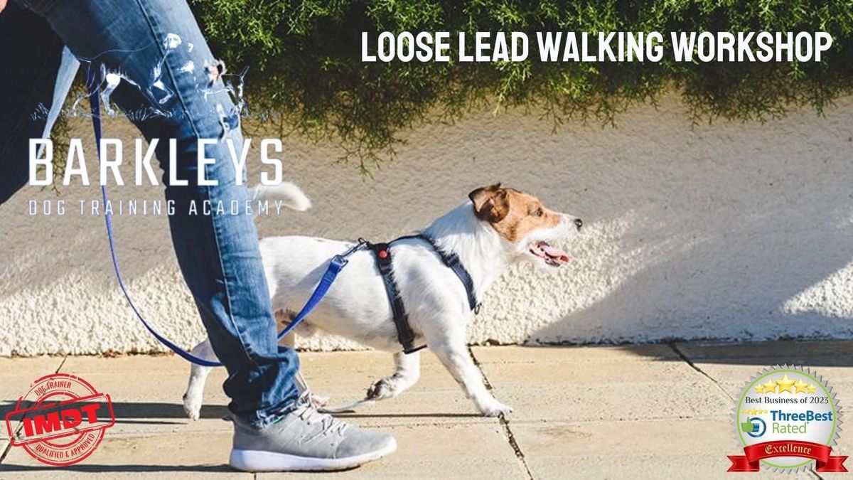 Loose Lead Walking Workshop 