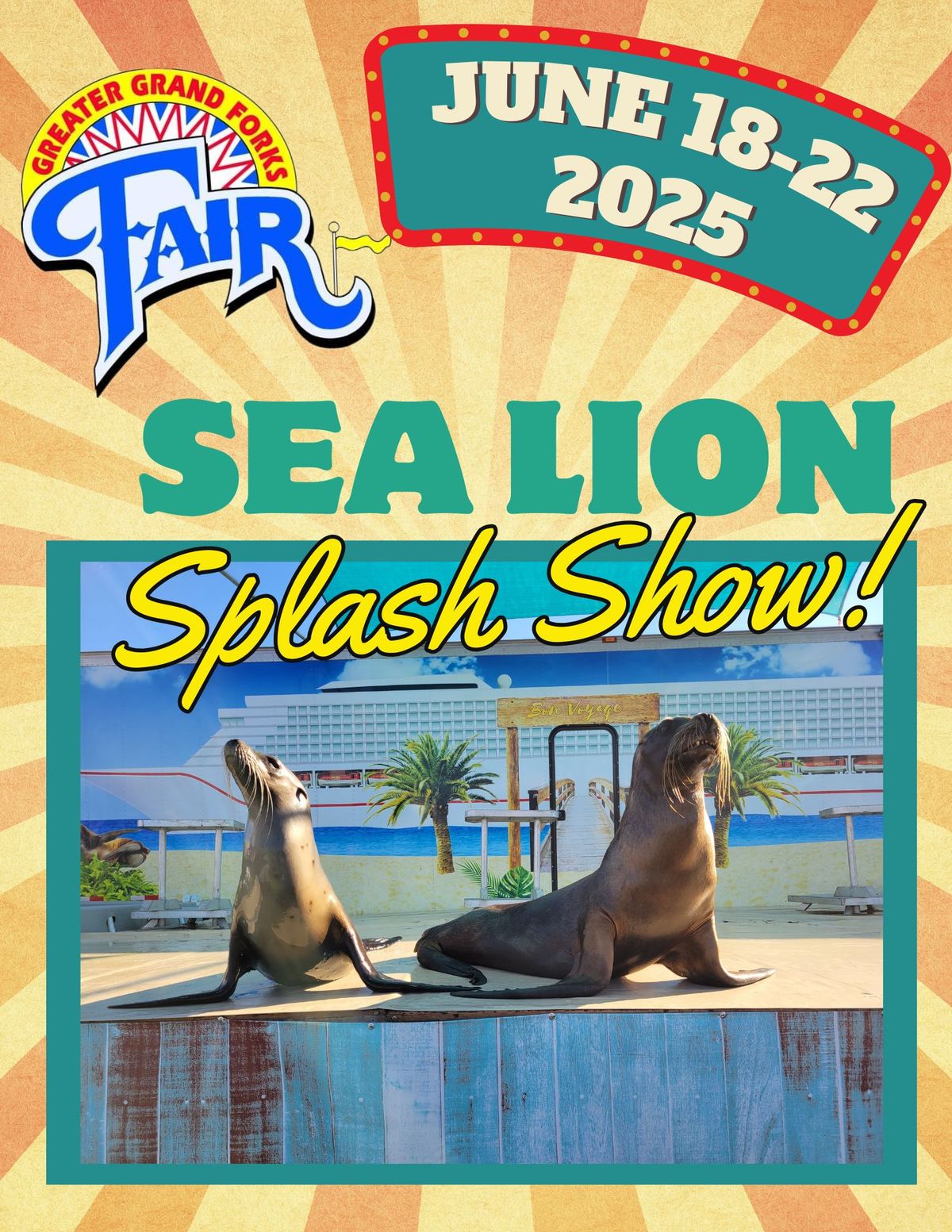 Sea Lion Splash Show