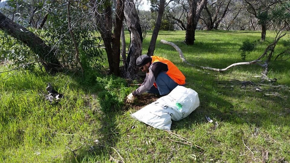 Olive Hill Habitat Restoration