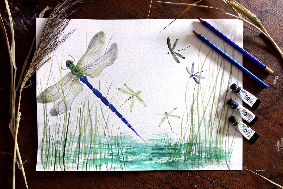 Dragonflies in Watercolour - Sunday Creative Sessions