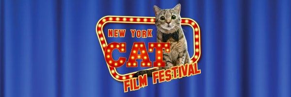 New York Cat Film Festival (in Arlington)