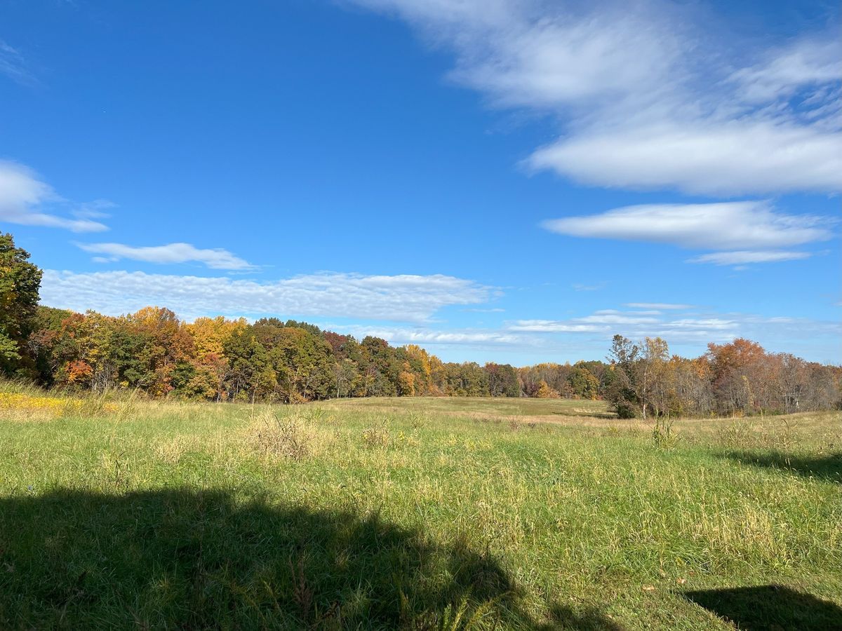 Park Day at Payne's Farm