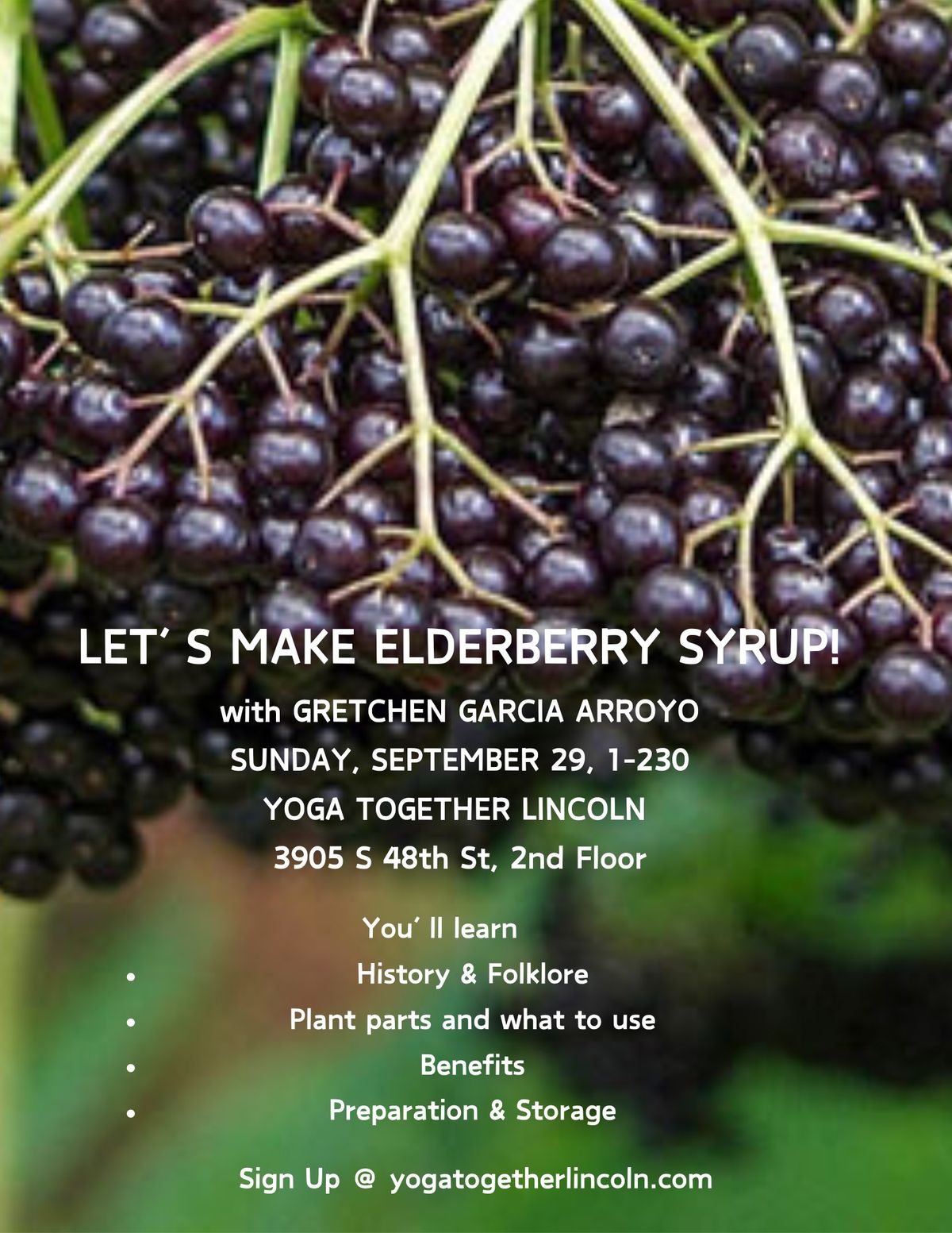 Let's Make Elderberry Syrup