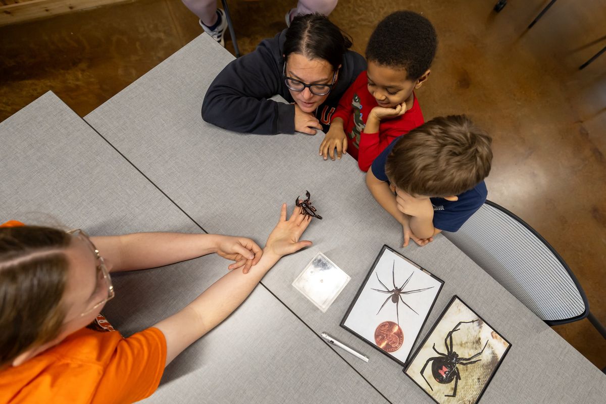 Insect Adventure Open Hours