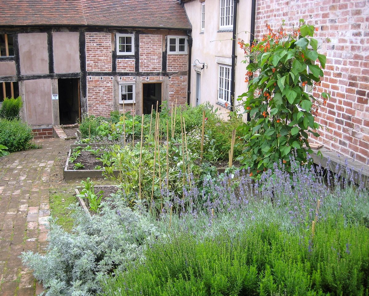 The Weaver's House garden spring spruce up