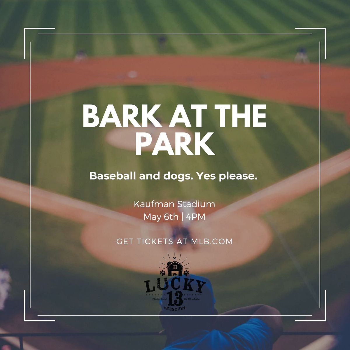 Bark at the Park with Lucky 13 Rescue 