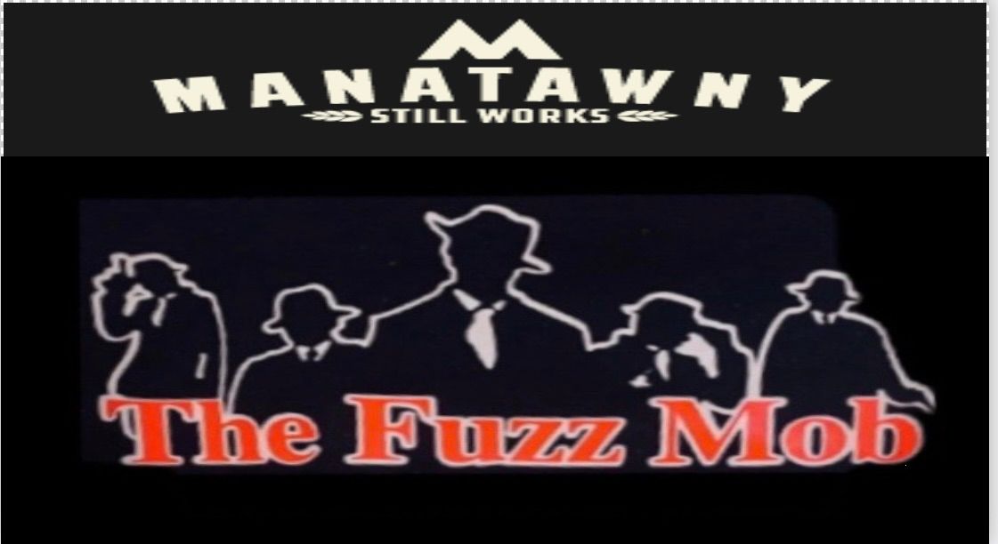 The Fuzz Mob Rocks Manatawny Still Works 