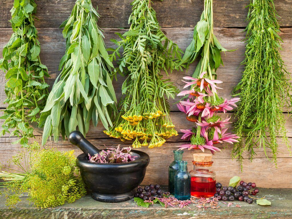 A Magickal History of Herbs: Enchanted Names