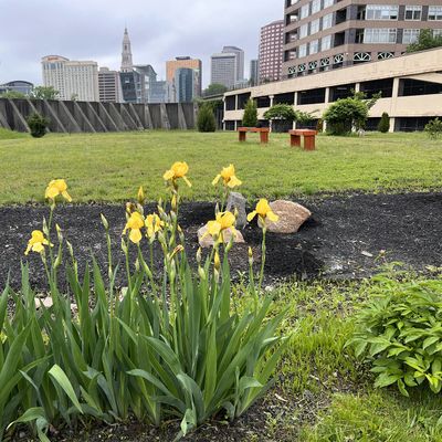 US and Japan Society of Connecticut