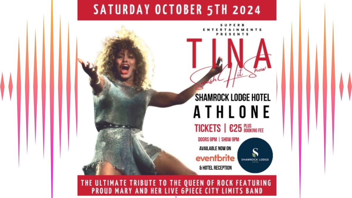 Tina Turner Tribute