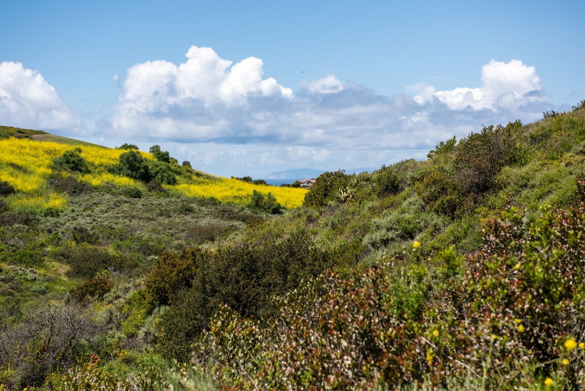 Buck Gully Loop Hike