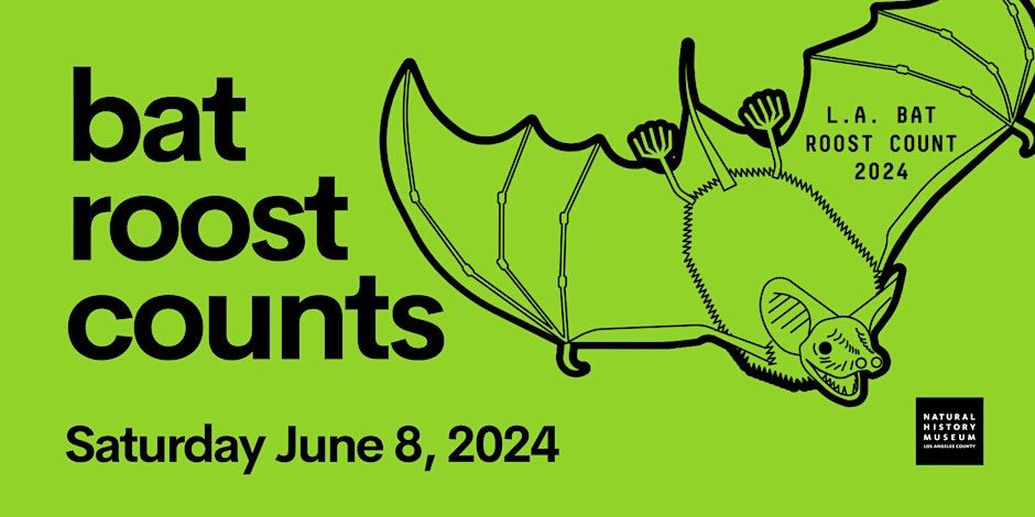 Bat Roost Counts | June 8 Session