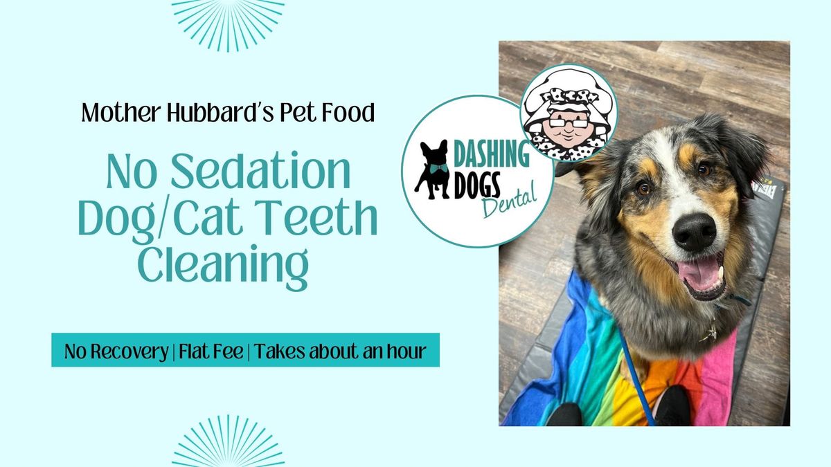 Pet Teeth Cleaning Event - White Rock - Mother Hubbard Pet