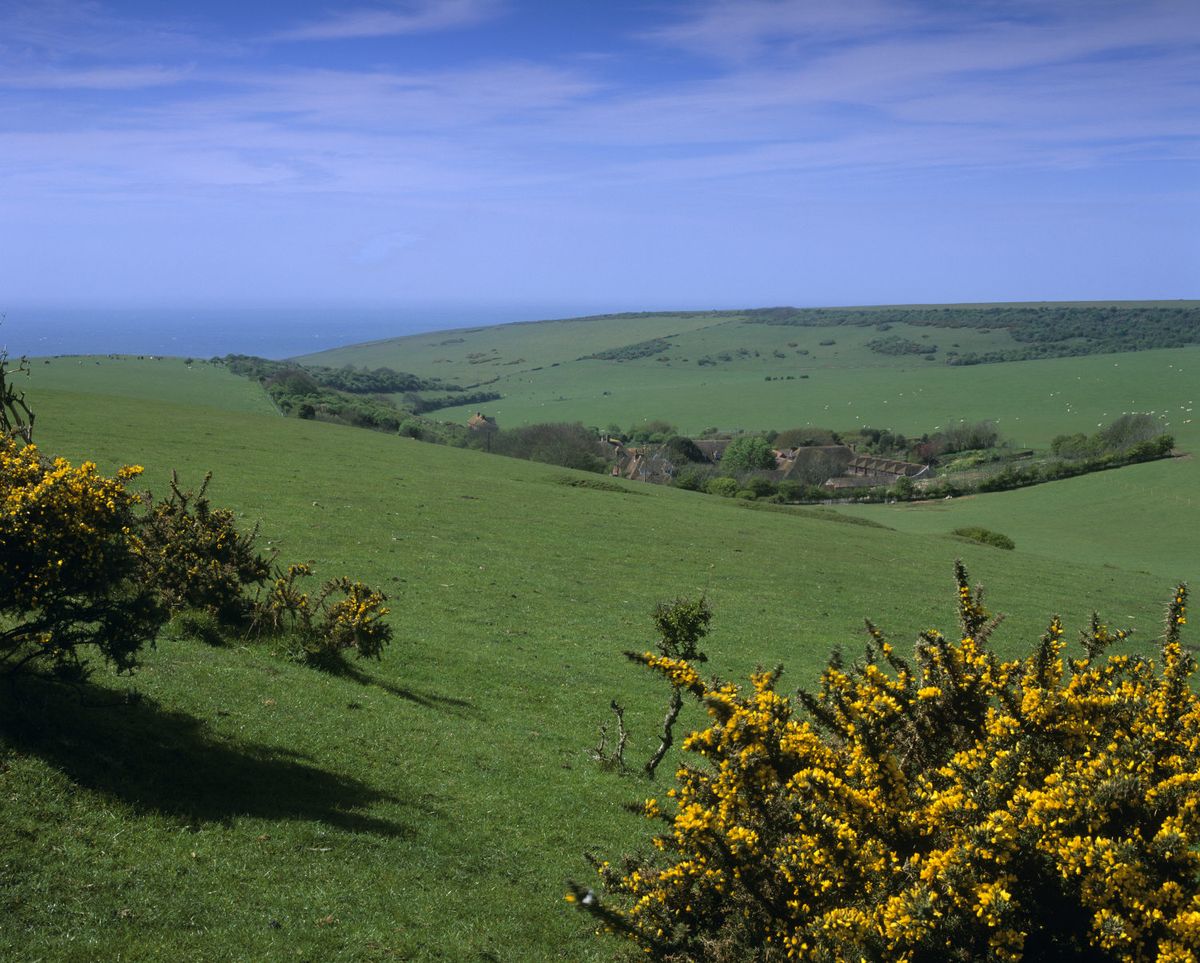 Coastguards, Smuggling and Shipwrecks - Guided Walk