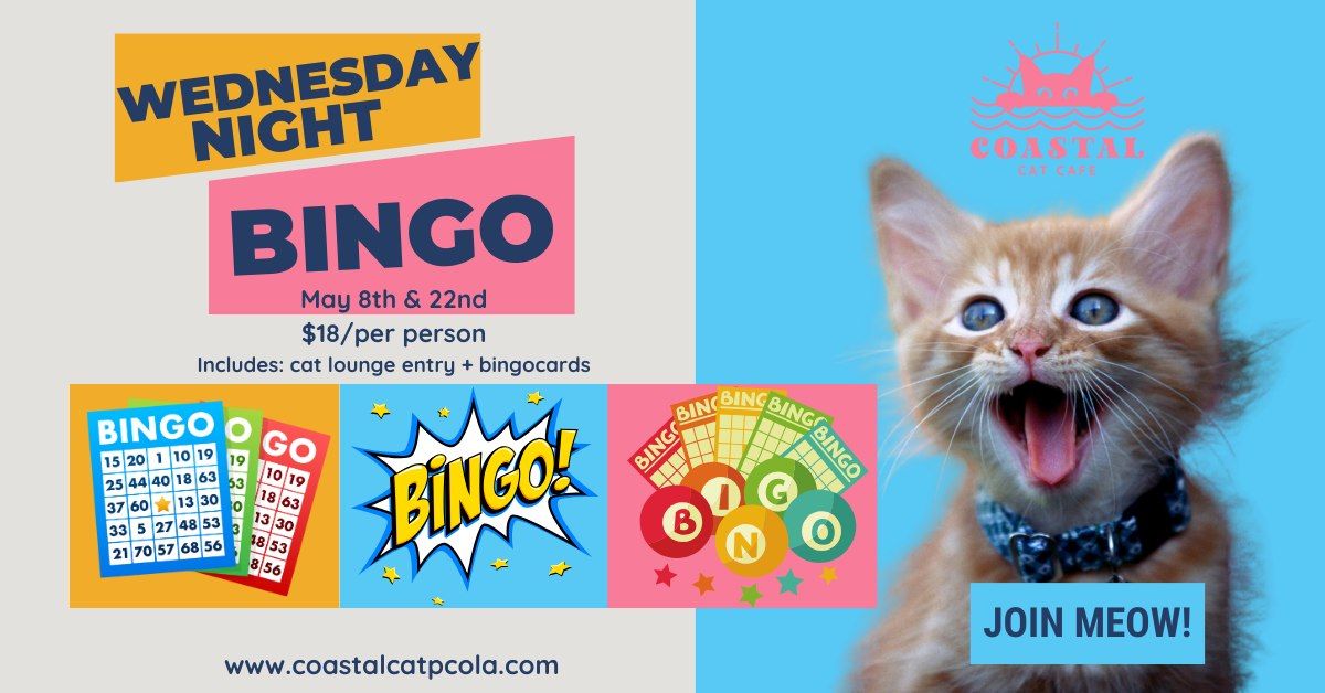 Wednesday Night Bingo!